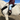 Bareback Riding Pad **NEW**