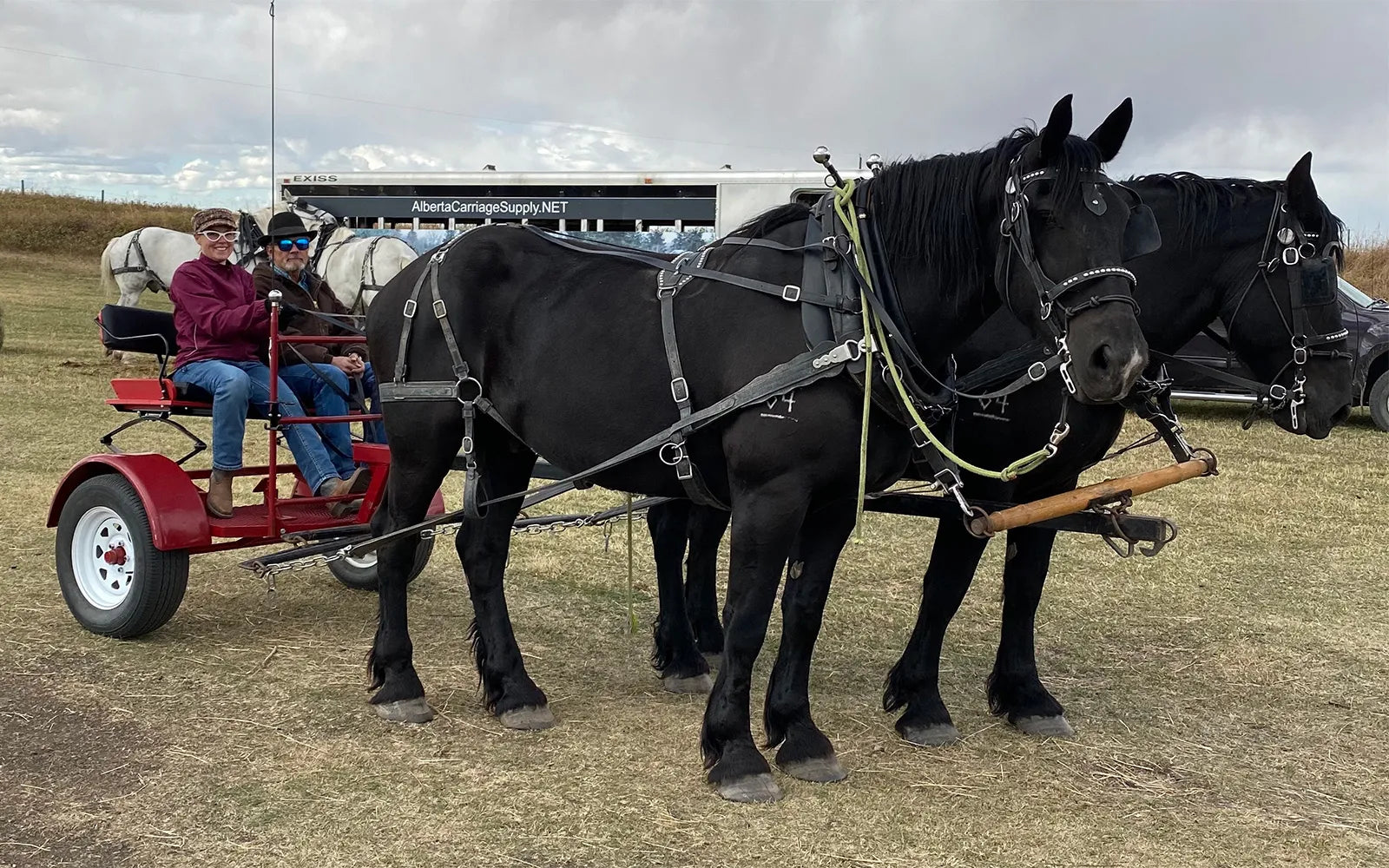 Draft Horses with a Forecart