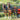 Farm Harness vs. Parade Harness: Which Is Right for You?