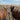Why Your Horse Refuses to Pull the  Cart: Causes & Fixes