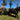 Carts