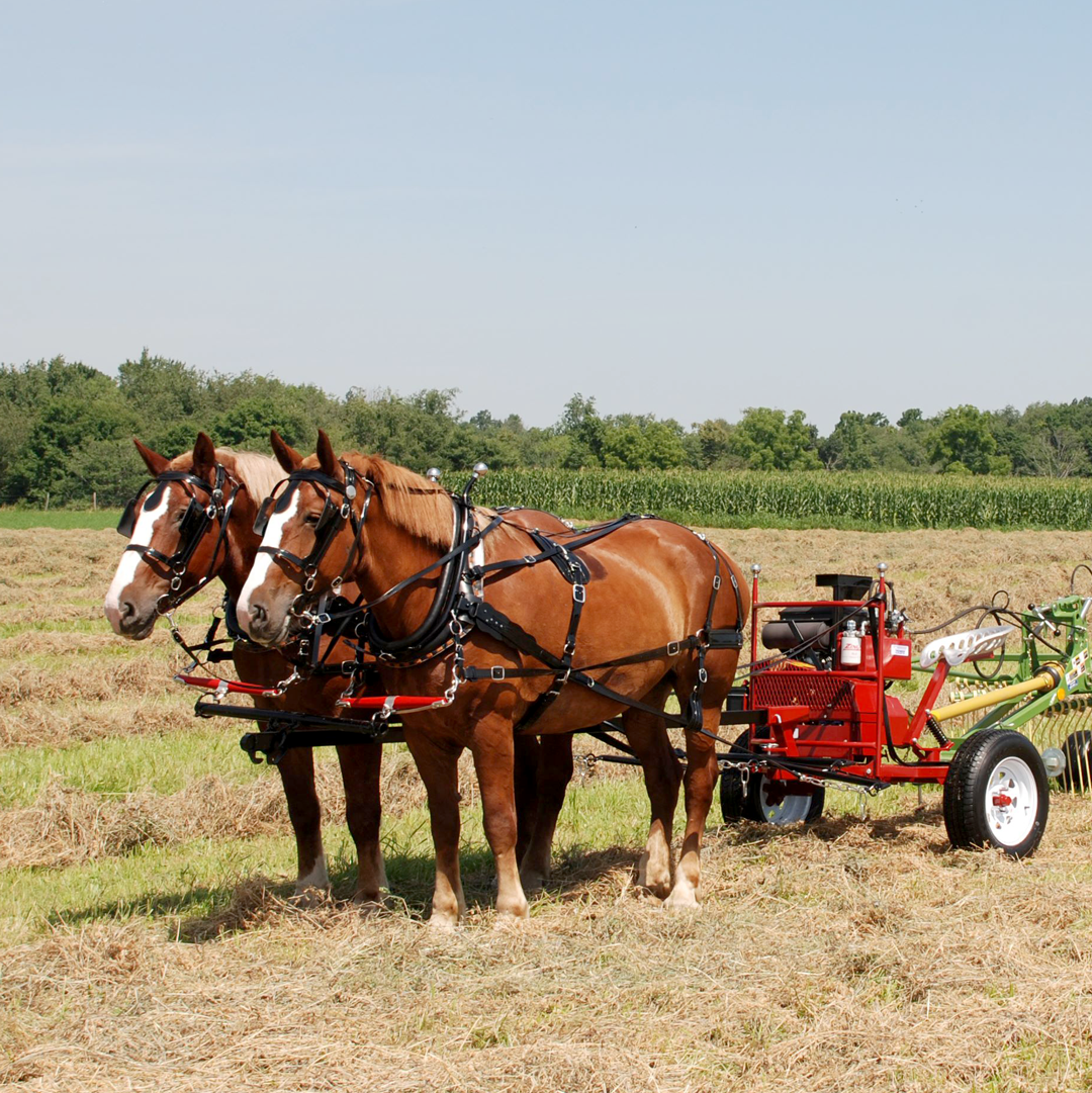 Farm Harness - Single or Team