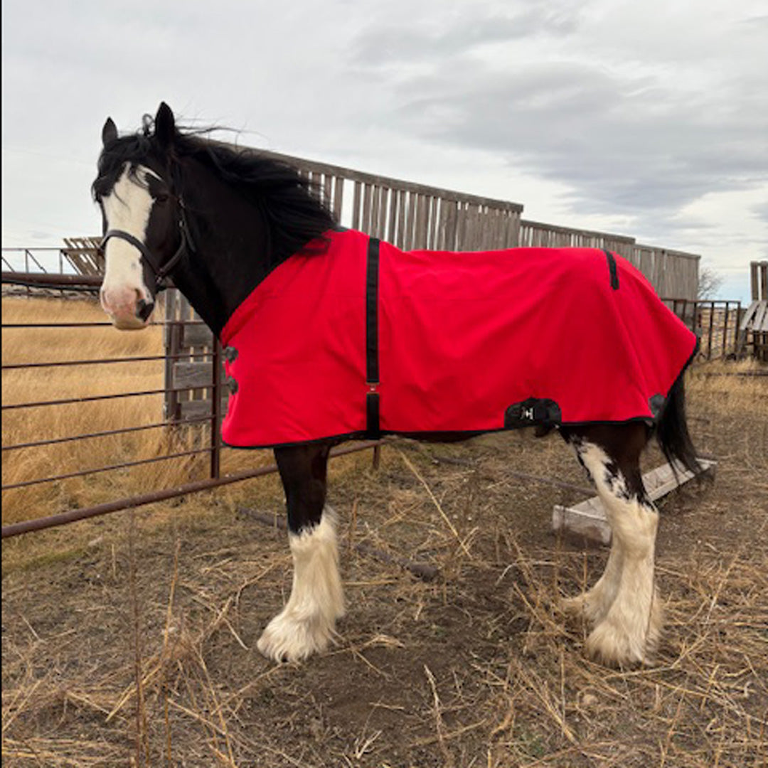 Winter Blanket Draft