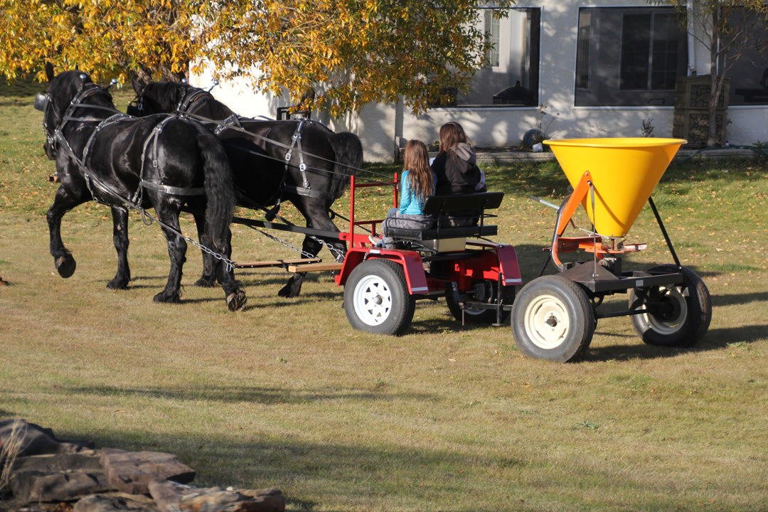 A woman and young girl sit on a bench seat of a red forecart, driving away from the camera. They’re pulling a large, yellow, cone-shaped seed spreader across a yard, while driving a team of two black Percheron draft horses.