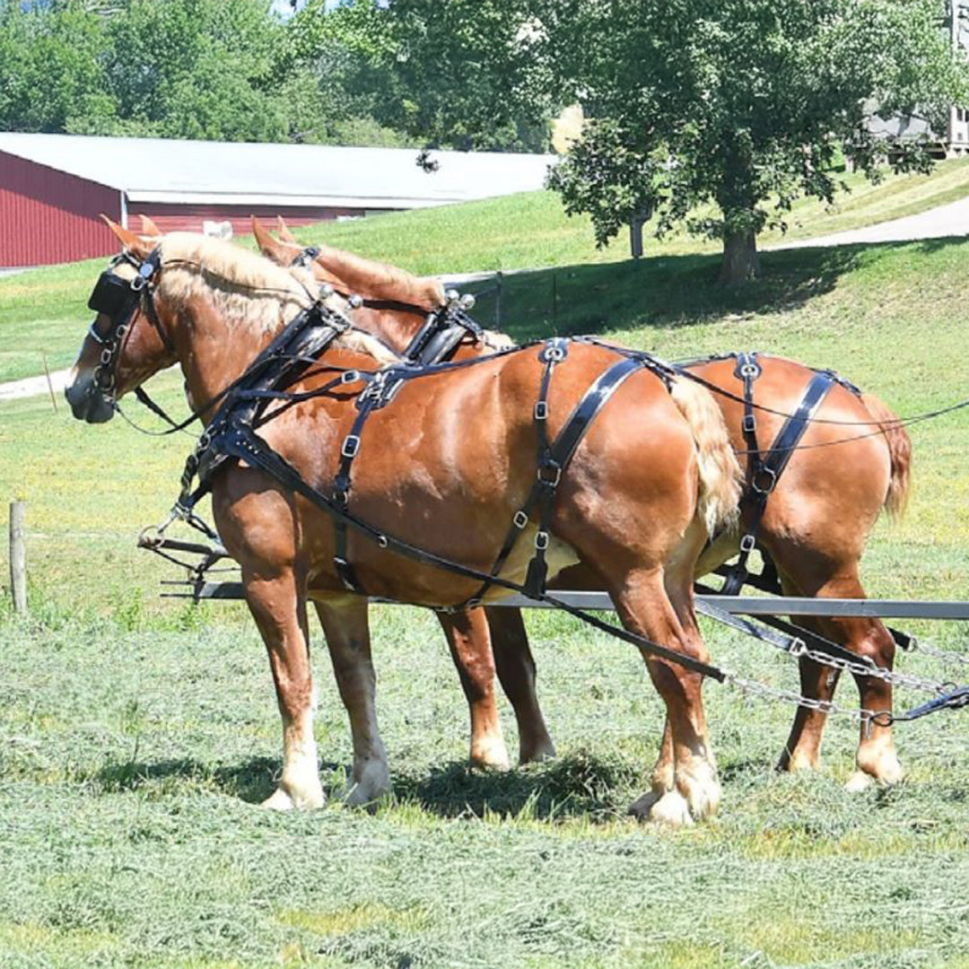 Complete Yankee Harness with Backers Draft Size