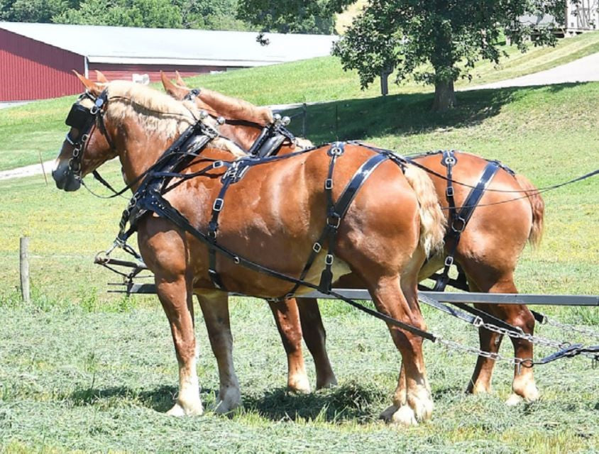 Complete Yankee Harness with Backers Cross Size