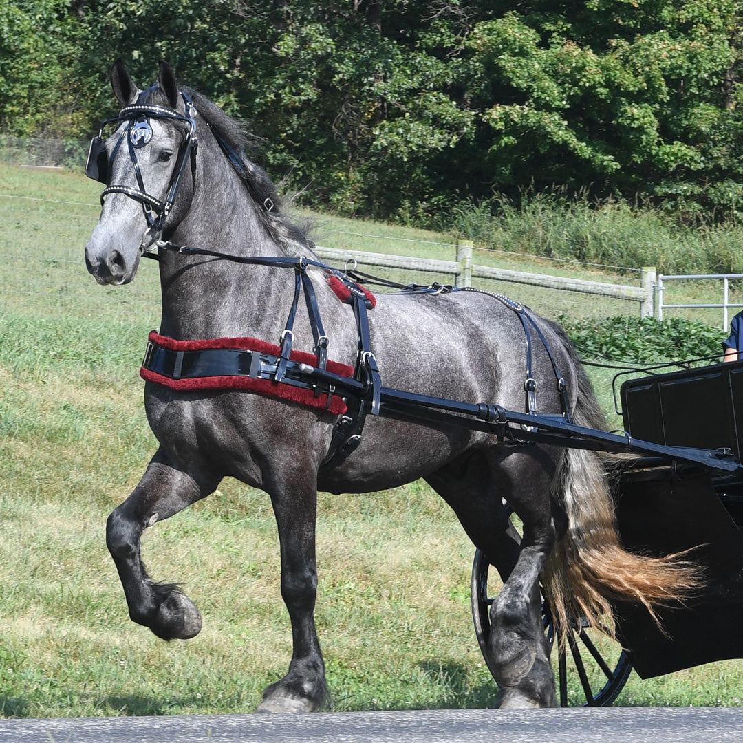 Carriage Driving Harness with Breast Collar Draft Size