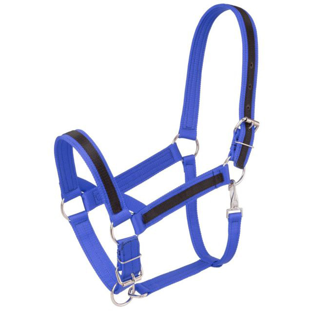 When you want a sturdy Halter to lead or tie your Draft Horses, our Nylon Draft Horse Halter is a great, economical option. It is adjustable at the throat with a quick-release snap and is available in various colours