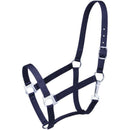 Strong nylon halter of 2 ply, 1" web. Brass plated hardware throughout. Snap at throat, buckle at crown.