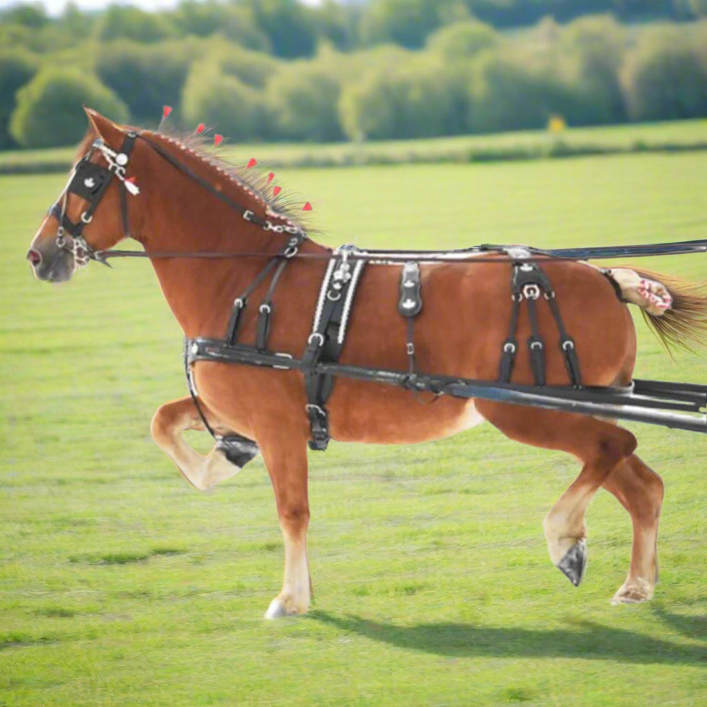 Fine Classic Draft Show Harness