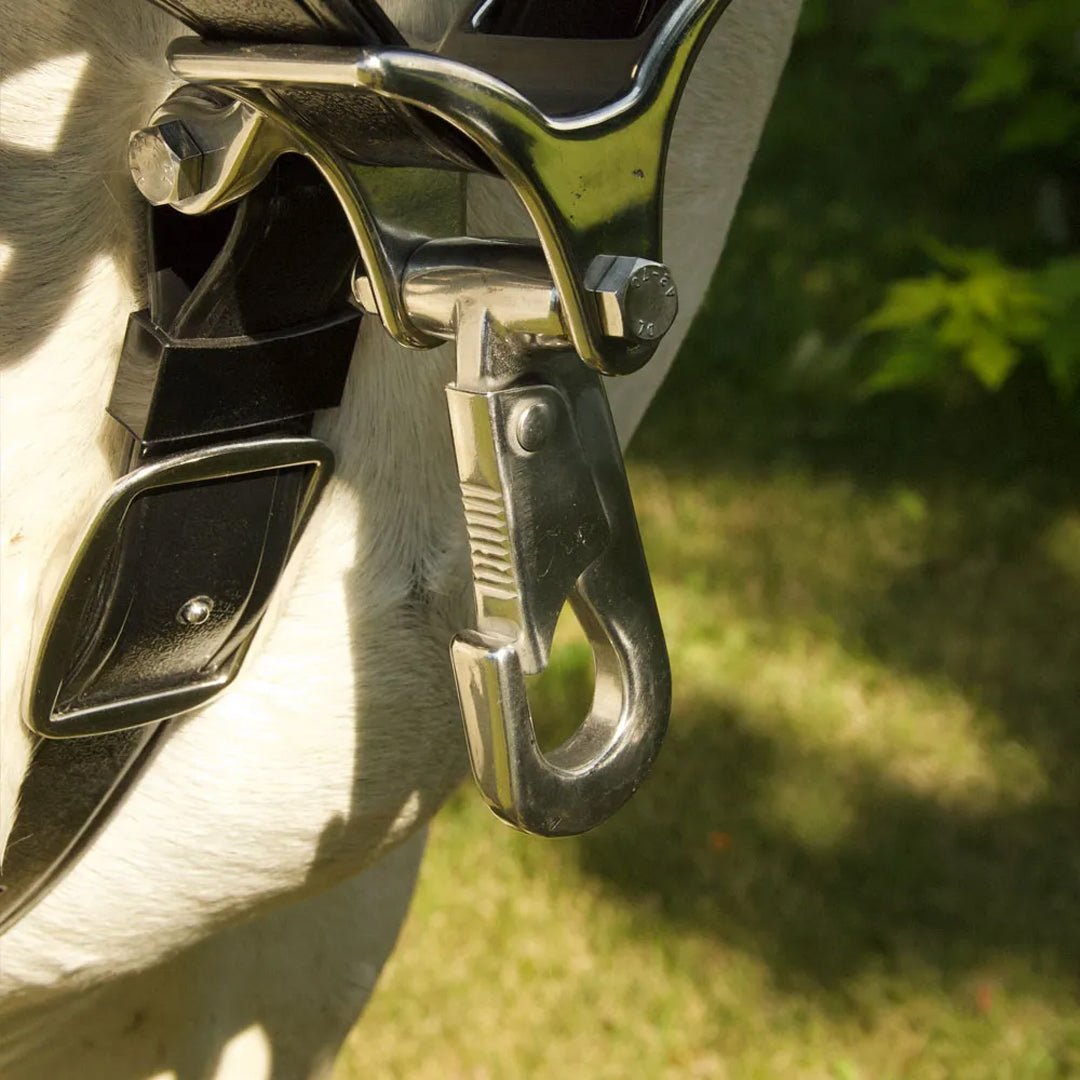 When you need quality work harness for your horses to work and play, make it the durable yet versatile Spotted Farm Harness from Alberta Carriage Supply. Made with American-made BioThane, it’s lightweight and easy to clean with spotted decoration for a bit of flair.