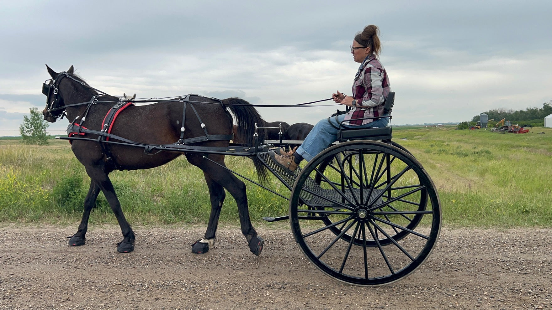 ACS Horse Cart