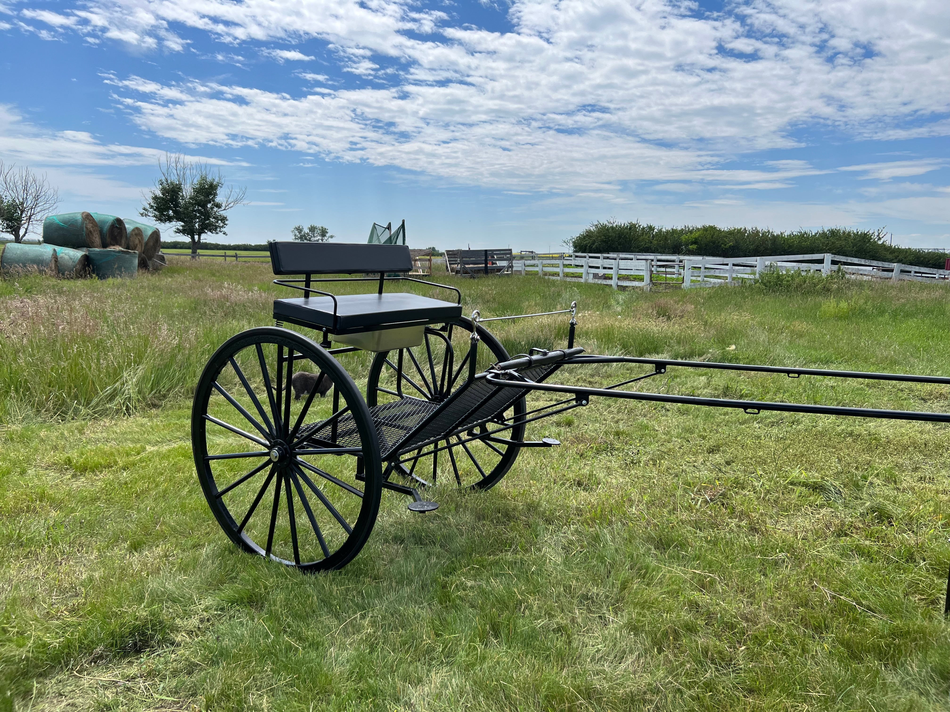 ACS Horse Cart - 0