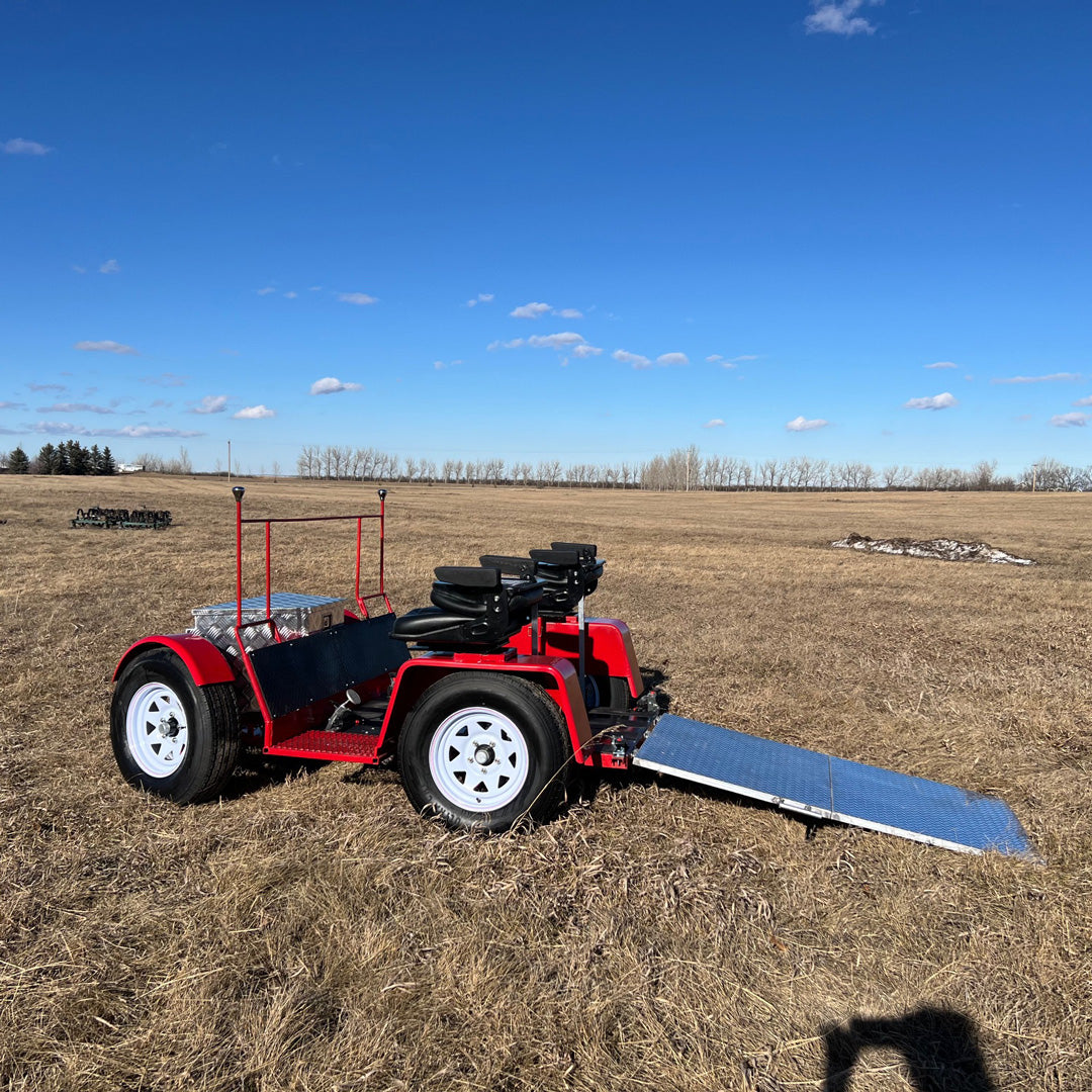 CUSTOM Accessible Horse Drawn Carriage – Alberta Carriage Supply