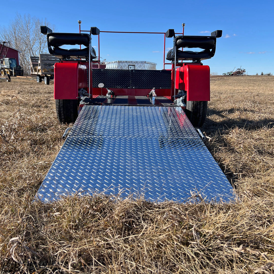 CUSTOM Accessible Horse Drawn Carriage – Alberta Carriage Supply
