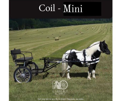 E-Z Entry Carts Mini