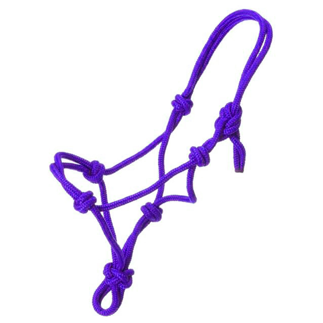 Buy royal-blue Miniature Poly Rope Halter