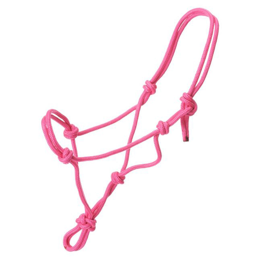 Buy pink Miniature Poly Rope Halter