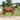 Complete Premium Biothane Parade Harness - Draft