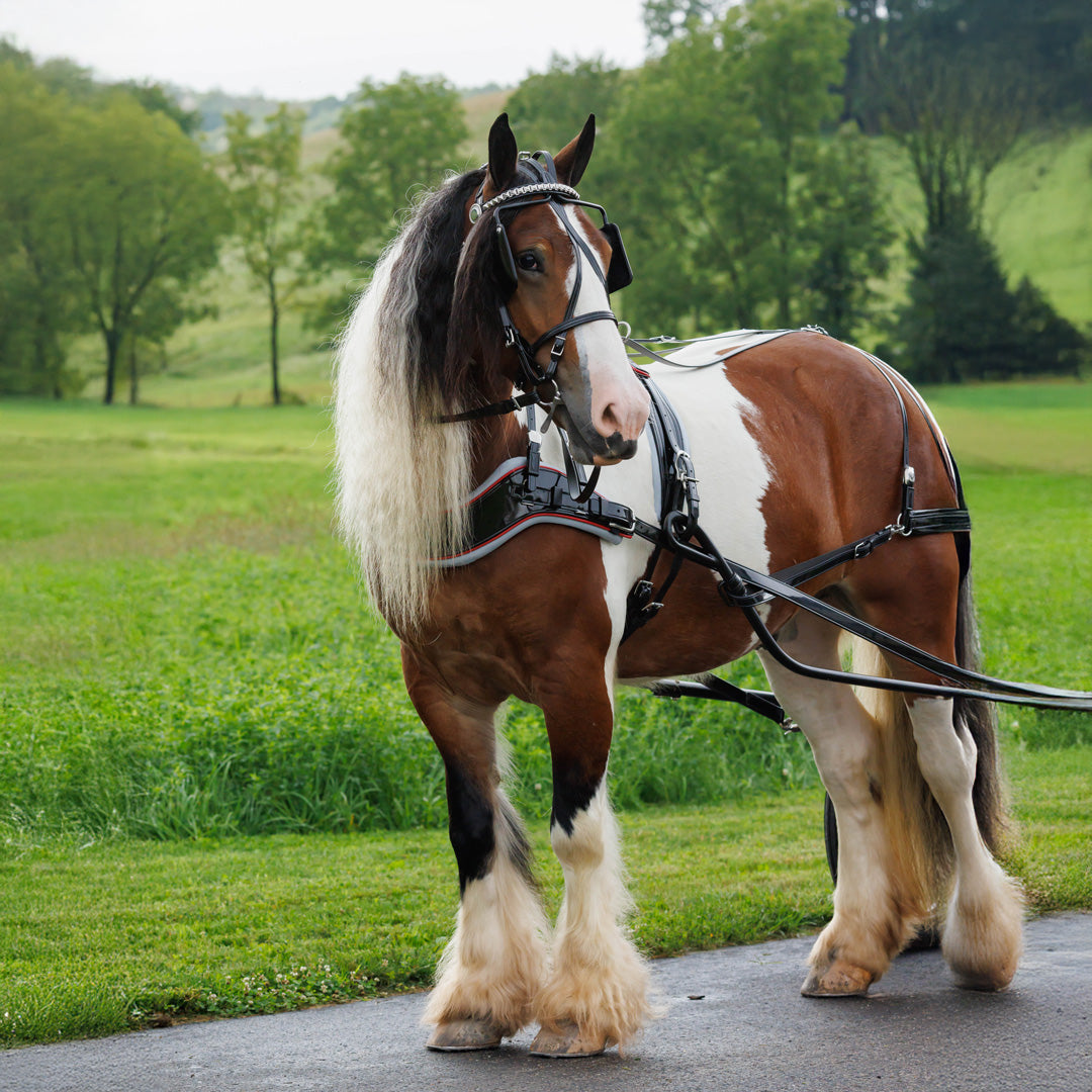 Pleasure Driving Harness – Small Pony - 0