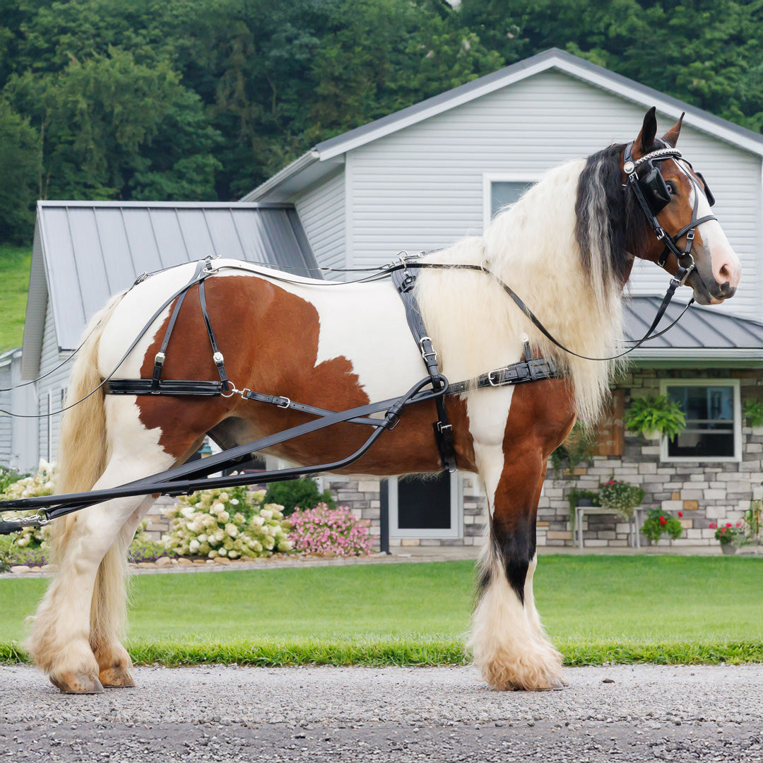 Pleasure Driving Harness Large Pony Size