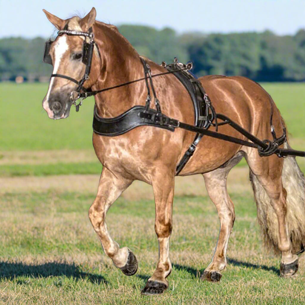 Padded Pleasure Harness Pony Size