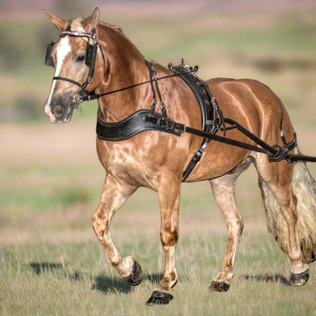 Padded Pleasure Harness Horse Size