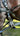 Parade Harness - Single or Team Draft Size