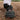 Horse hooves, skin thickness, bulb sensitivity, and conditioning can vary. Pastern Wraps can help make your horse more comfortable while driving or working. Easy-to-adjust straps give you the perfect fit.