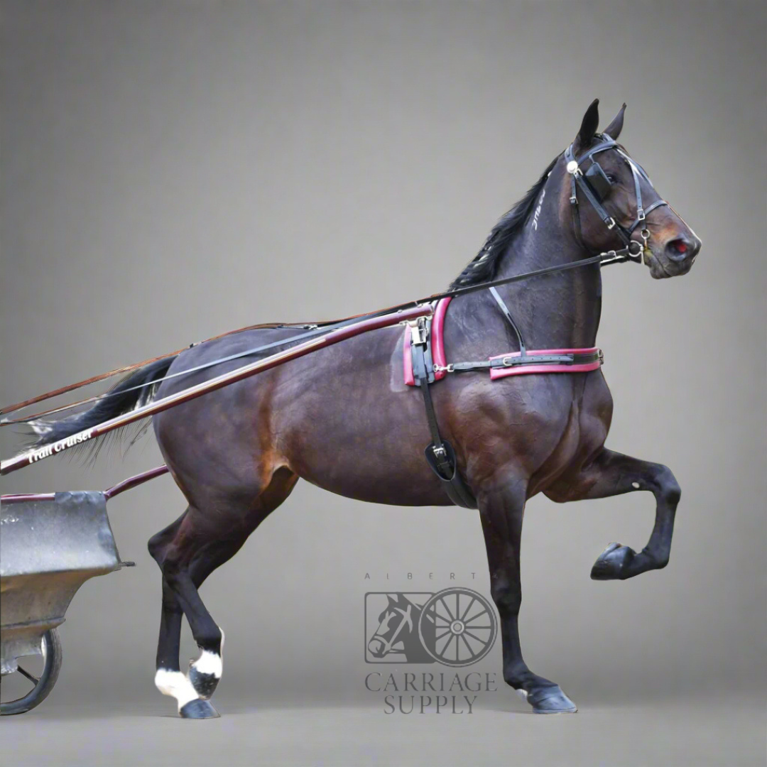 Springhare Harnesses Quick Hitch Harness Complete Horse Size – Alberta Carriage Supply