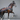 Pleasure Driving Harness Draft Cross Size