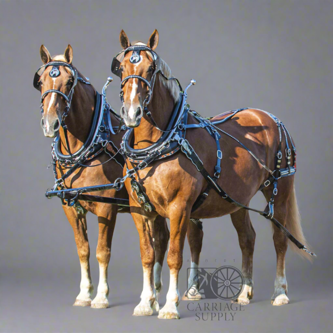 Springhare Harnesses Parade Harness - Single or Team LIGHT Horse Size – Alberta Carriage Supply