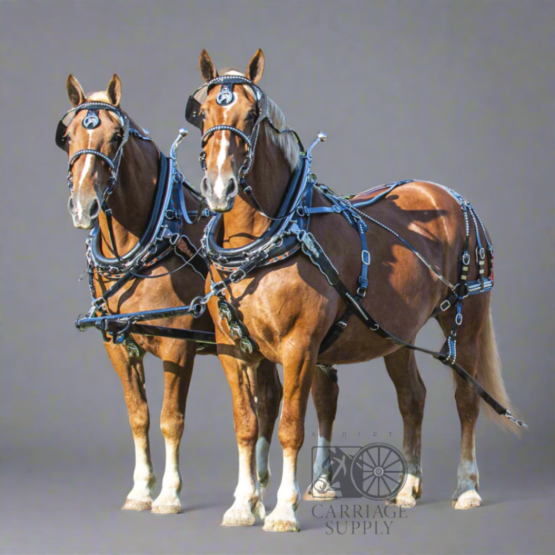 Parade Harness - Single or Team Pony Size