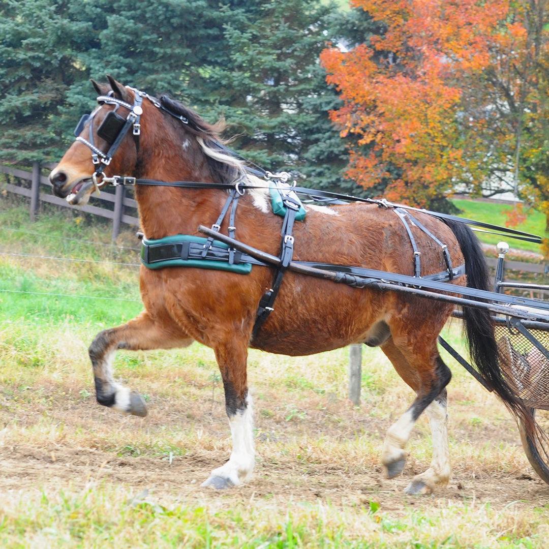 Pleasure Driving Harness Cross Size