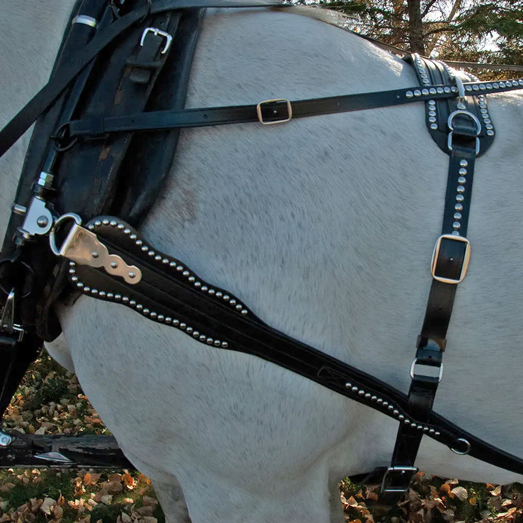 The extra fancy Parade Harness will make an impression for sure with stainless steel accoutrements from nose to tail placed on top-quality Amercian-made BioThane. Unique medallions on the face blinder and hip drops are an extra special touch. Alberta Carriage Supply is your best place for horse driving needs.