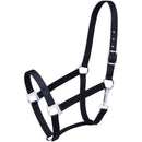 Strong nylon halter of 2 ply, 1" web. Brass plated hardware throughout. Snap at throat, buckle at crown.