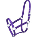 Strong nylon halter of 2 ply, 1" web. Brass plated hardware throughout. Snap at throat, buckle at crown.