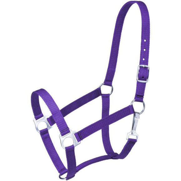 Strong nylon halter of 2 ply, 1" web. Brass plated hardware throughout. Snap at throat, buckle at crown.