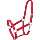 Strong nylon halter of 2 ply, 1" web. Brass plated hardware throughout. Snap at throat, buckle at crown.