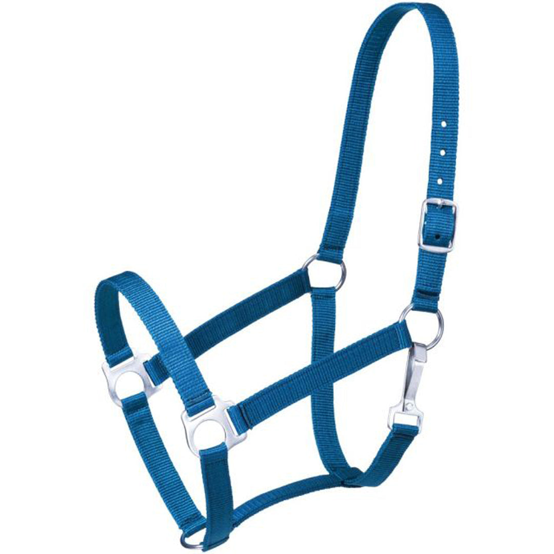 Strong nylon halter of 2 ply, 1" web. Brass plated hardware throughout. Snap at throat, buckle at crown.