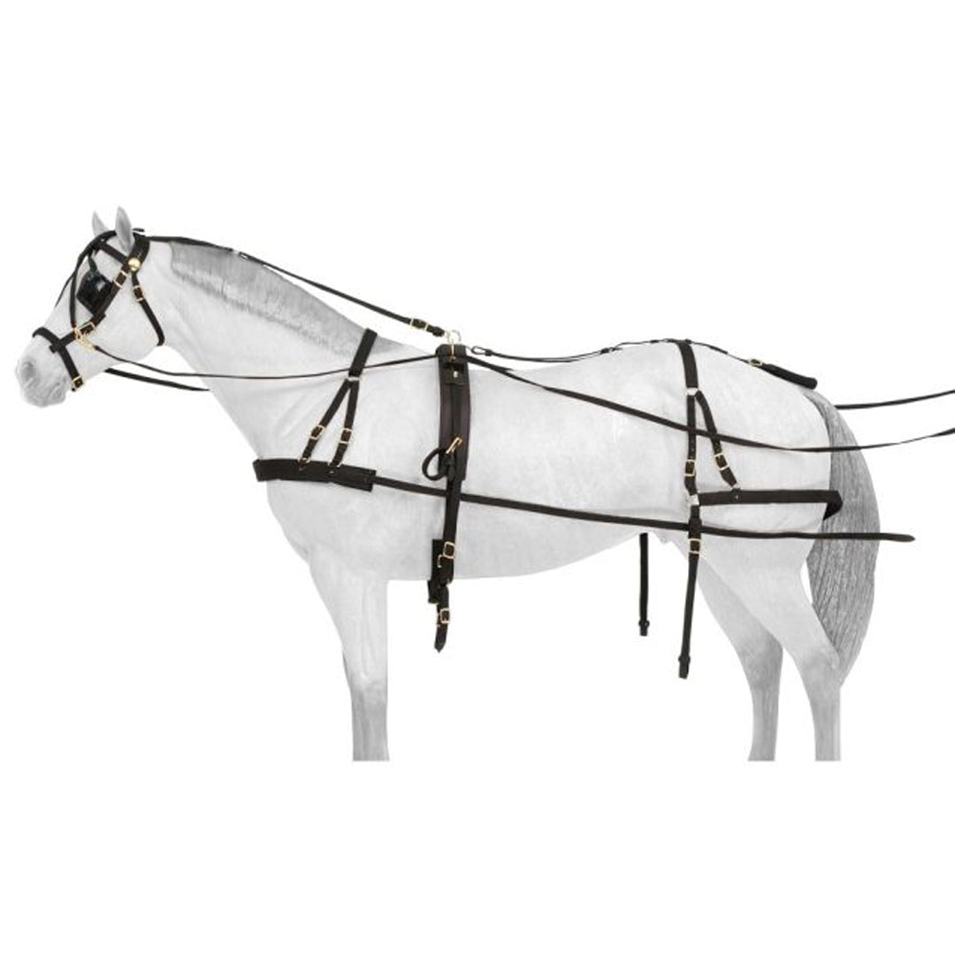 The Deluxe Nylon Driving Harness is a great starter option for you. Available in Pony, Miniature, Light and Cob Horse sizes. Pops of patent leather and brass hardware give this cost-effective harness an added splash of style, without breaking the bank.