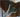 WRM Deluxe Comfort Collar - Split Front - With Traces